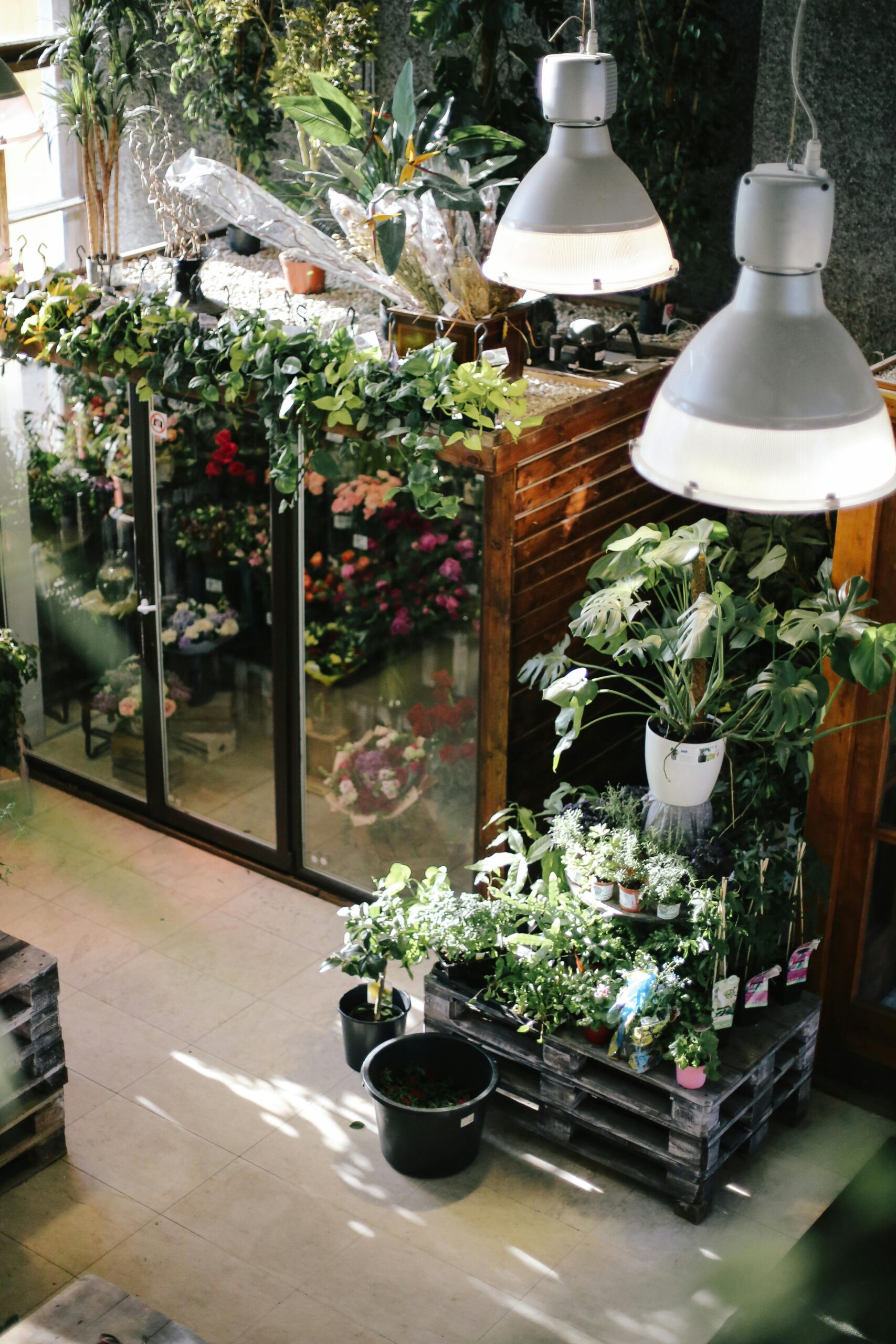 pexels-photo-1684004-1684004 A beautifully arranged indoor plant nursery showcasing a variety of lush greenery and flowers under soft lighting.